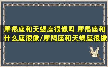 摩羯座和天蝎座很像吗 摩羯座和什么座很像/摩羯座和天蝎座很像吗 摩羯座和什么座很像-我的网站